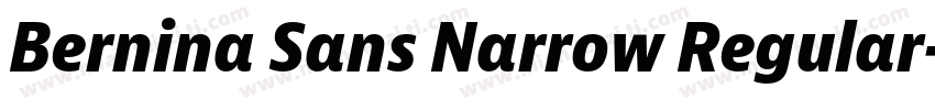 Bernina Sans Narrow Regular字体转换